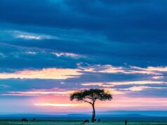 Maasai Mara